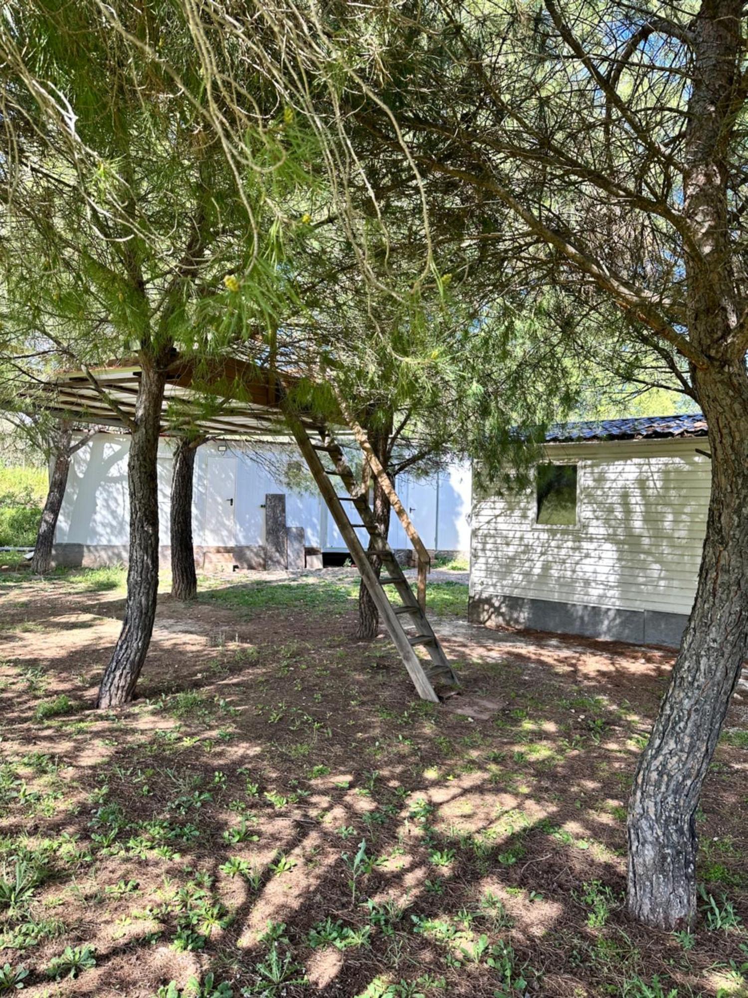Bungalow Infanta Torrelaguna Luaran gambar