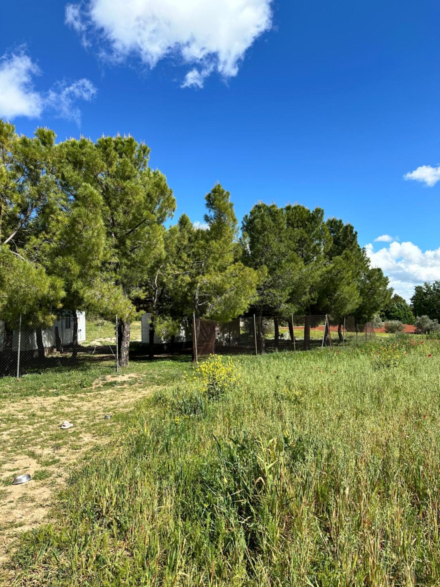 Bungalow Infanta Torrelaguna Luaran gambar