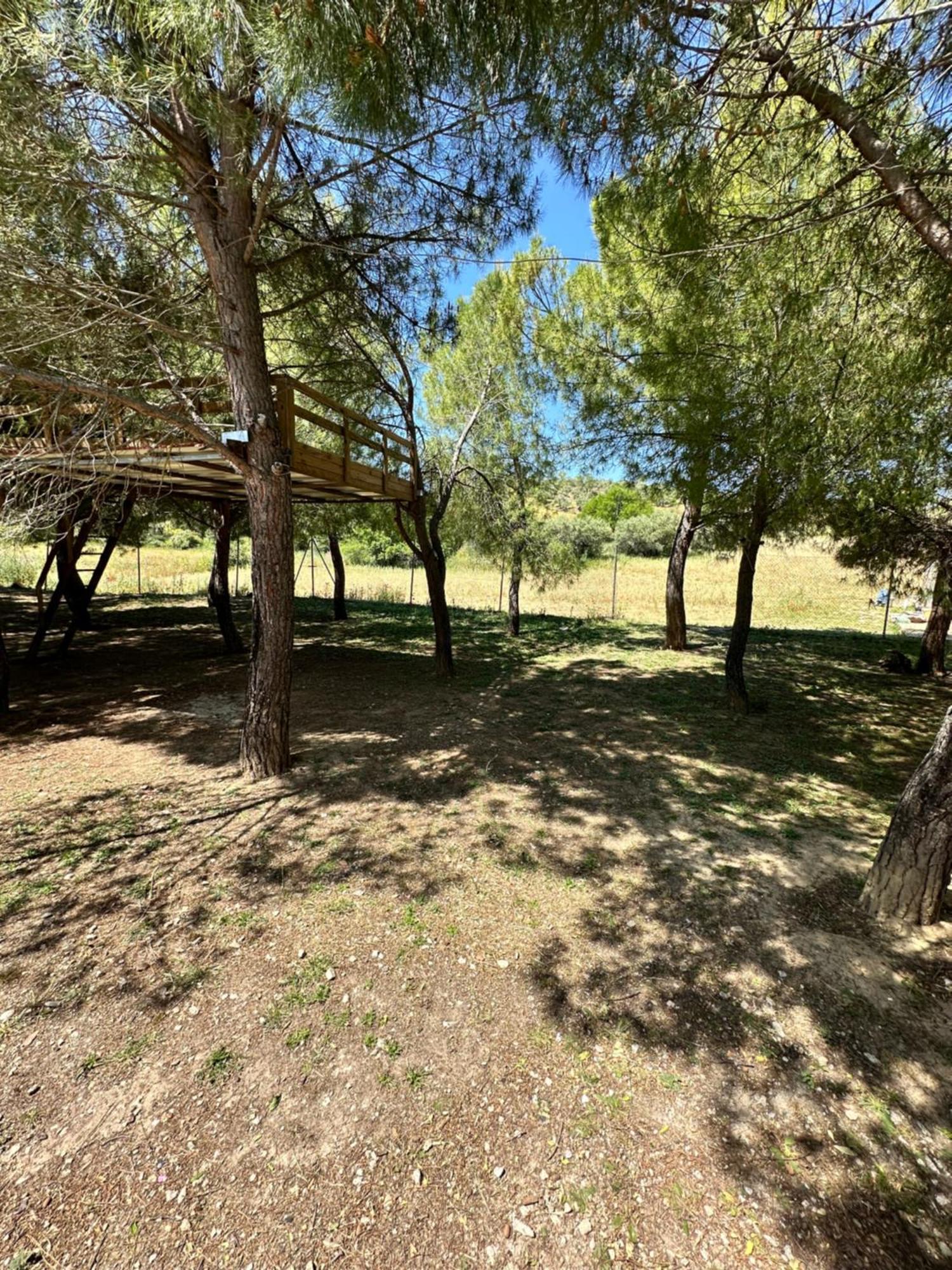 Bungalow Infanta Torrelaguna Luaran gambar