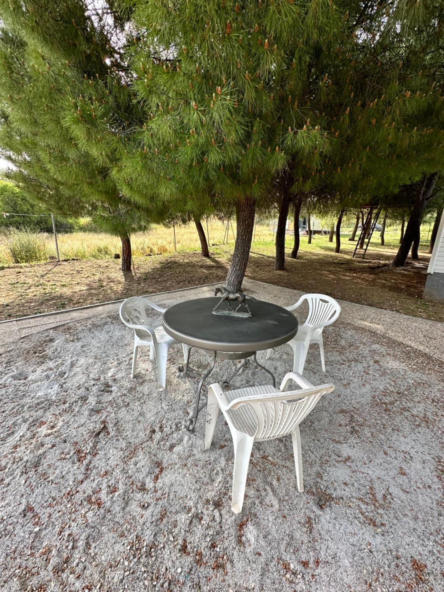 Bungalow Infanta Torrelaguna Luaran gambar